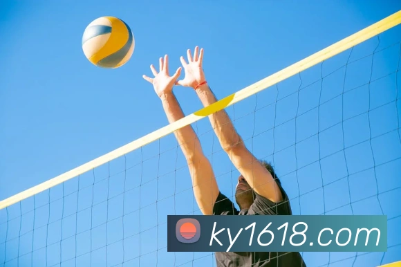 ky开云发展历程
